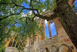 Ruine Kloster Gnadenberg in Berg_© Reinhard Mederer