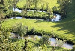 Fluss Lauterach bei Kastl