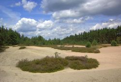 Bergbaulandschaft bei Freihung