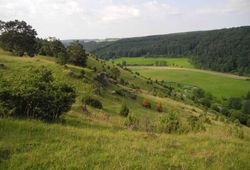 Lintlberg u Riedenburg_ © Tourismusverband Landkreis Kelheim